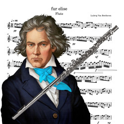 Für Elise flute - Beethoven...